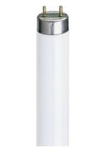 Tube Lighting